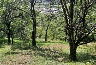 Teren de 8540 mp, în Breaza - 4