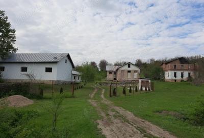 Spațiu comercial, de 723 mp, în Valea Cricovului - 2