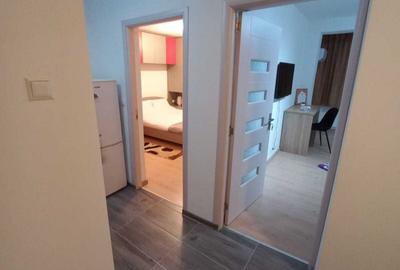 Apartament cu 2 camere decomandat în Govândari - 7