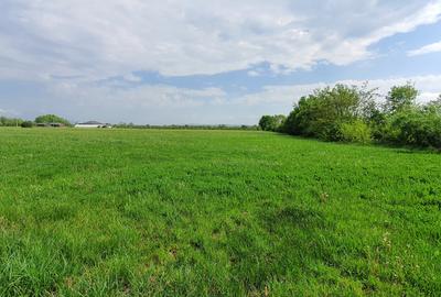 Teren intravilan de 6000 mp, în Bușag - 5