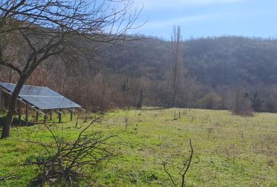 Casă individuală cu 2 camere cu Teren 2940 Mp în Ciclova Română