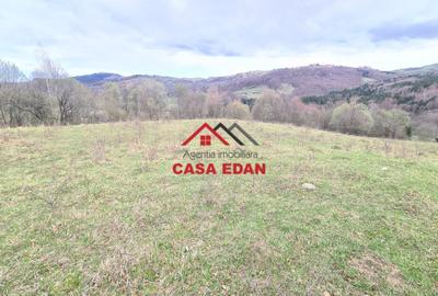 Teren extravilan de 20500 mp, în Valea Doftanei - 3