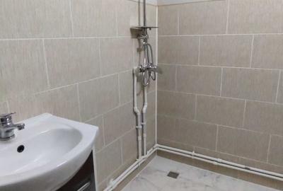 Apartament cu 2 camere decomandat în Cogealac - 3