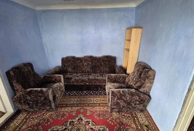 Casă cu Teren 1464 Mp în Plopșoru - 3