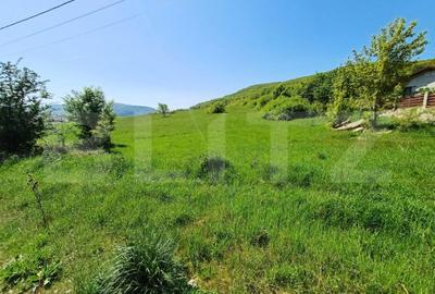 Teren de 5000 mp, în Viișoara - 2