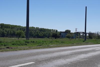 Casă cu 4 camere în Coslogeni - 1