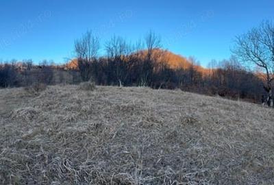 Teren de 4000 mp, în Gurguiata - 8