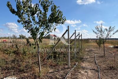 Casă cu 3 camere cu Teren 4871 Mp în Nojorid
