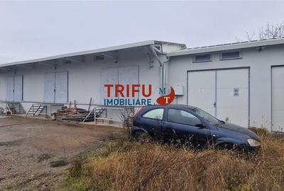 Spațiu industrial, de 200 mp, în Ampoi 1