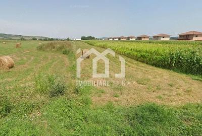 Teren de 2900 mp, în Jucu