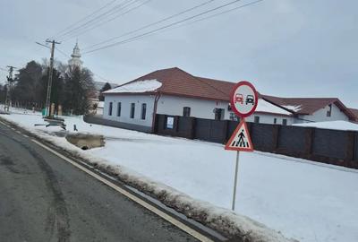 Teren de 140000 mp, în Foeni - 3