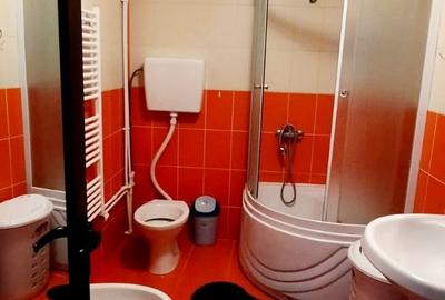 Apartament cu 2 camere decomandat în Siderurgiștilor - 5