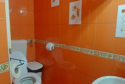 Casă cu 5 camere cu Canalizare în Tineretului - 20