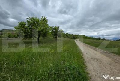Teren de 3400 mp, în Central - 5