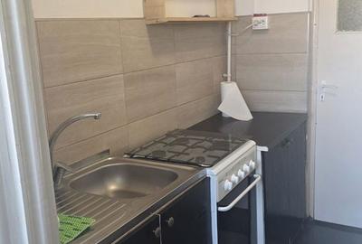 Apartament cu 2 camere decomandat, mobilat în Hala Centrală - 4