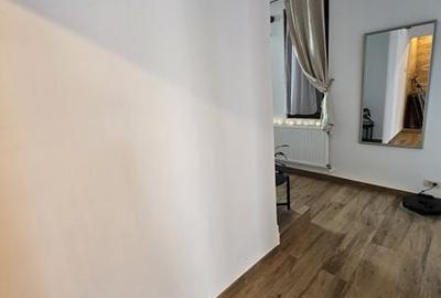 Garsonieră în Elisabetin - 7