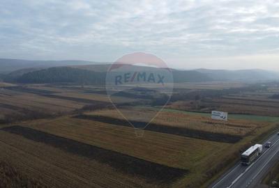 Teren Construcții intravilan de 9000 mp, în Gilău - 12