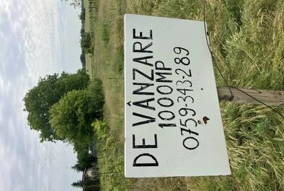 Teren de 1000 mp, în Sitaru - 1