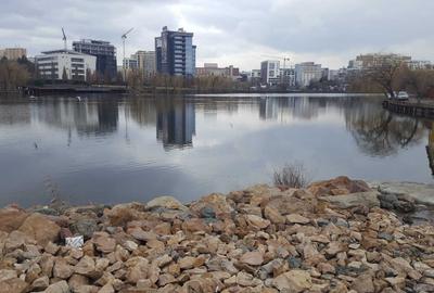 Garsonieră semidecomandată în Între Lacuri - 8