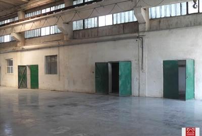 Spațiu industrial, de 7,000 mp, în Sânnicolau Mic - 9