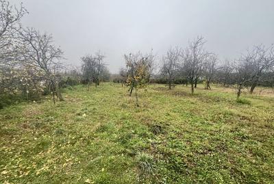 Casă cu 4 camere în Central - 6