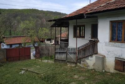Casă cu 3 camere în Valea