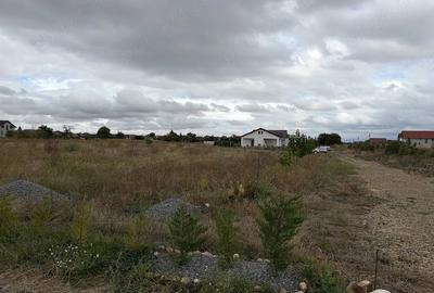 Teren de 1000 mp, în Mihai Viteazu