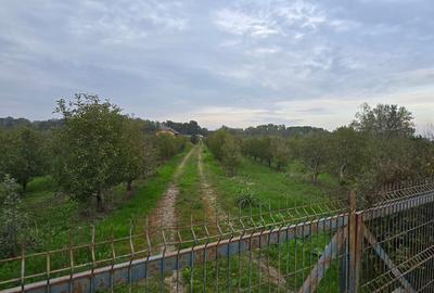 Teren agricol extravilan de 18000 mp, în Boțârlău - 13