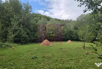 Teren în Telega