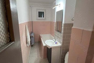 Apartament cu 2 camere semidecomandat în Aradul Nou - 7