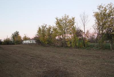 Teren Construcții intravilan de 3243 mp, în Rasa - 2
