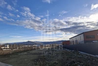 Teren Construcții intravilan de 3100 mp, în Cristian - 2
