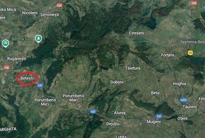 Teren investiție, de 1 mp, în Betești - 3