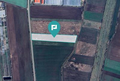 Teren agricol intravilan de 10333 mp, în Livada - 2