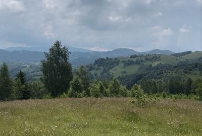 Teren de 8800 mp, în Peștera - 3