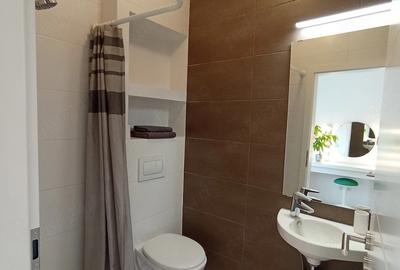 Apartament cu 3 camere decomandat, mobilat în Crișan - 11