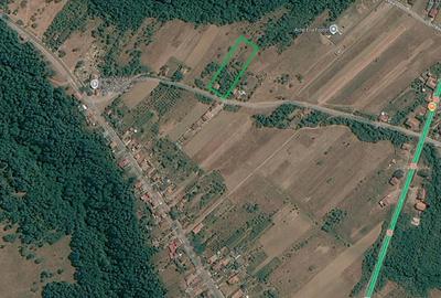 Teren Construcții intravilan de 3550 mp, în Copăcioasa - 1