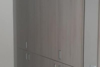 Apartament cu 2 camere semidecomandat în Dobroești