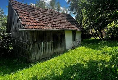 Casă cu 2 camere în Vața de Jos - 10