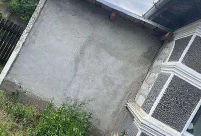 Casă cu 4 camere cu Teren 111111 Mp în Manasia - 4