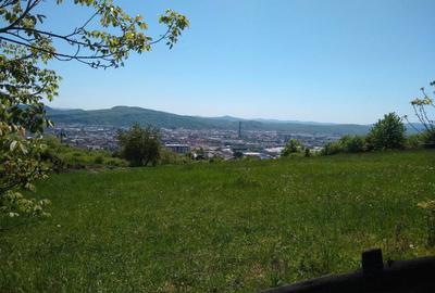 Teren de 300 mp, în Cetății - 1