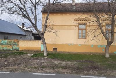 Casă cu Teren 800 Mp în Cenei