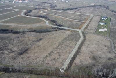 Teren Construcții extravilan de 5000 mp, în Albina - 2