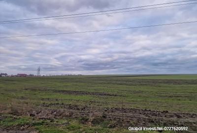 Teren agricol extravilan de 2500 mp, în Corbu - 12