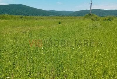 Teren de 7500000 mp, în Conop - 2
