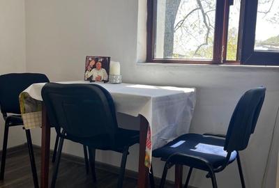 Casă cu 2 camere în Pietroșani - 4