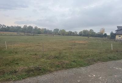 Teren de 1681 mp, în Chechiș