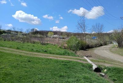 Teren de 1150 mp, în Dămienești - 2