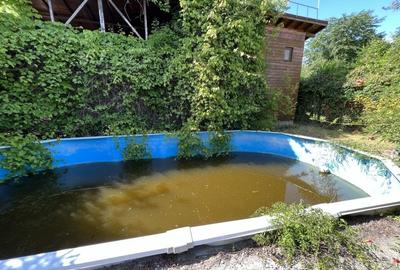Casă individuală cu 3 camere cu Piscina în Crevedia - 38