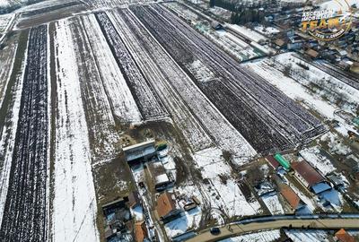 Teren Construcții intravilan de 6245 mp, în Dobolii de Jos - 8